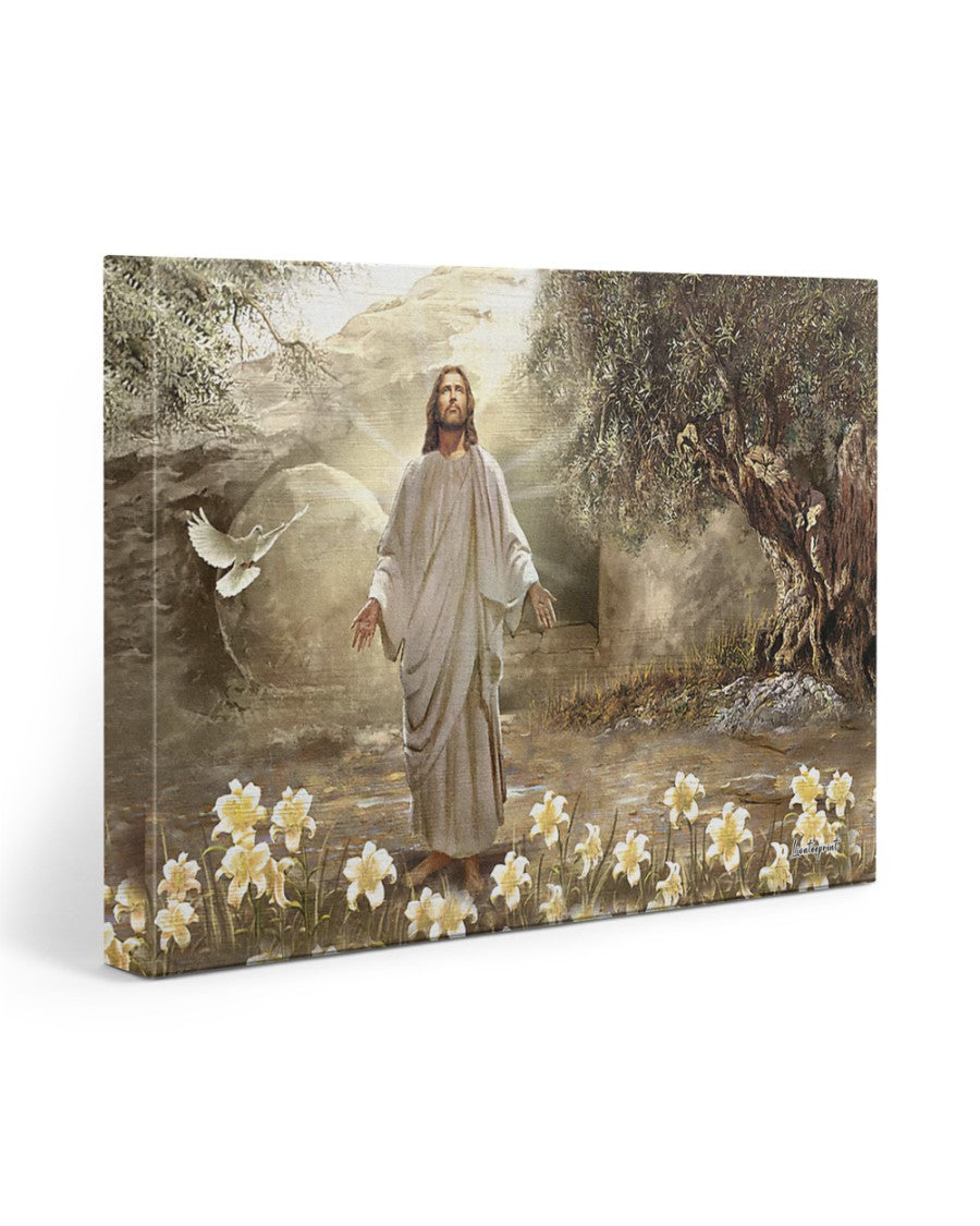 Meadow landscape, A new day has come canvas-wrap-print