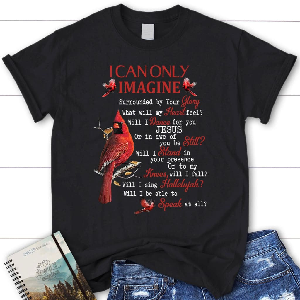 I can only imagine t-shirt, cardinal women's Christian t-shirts
