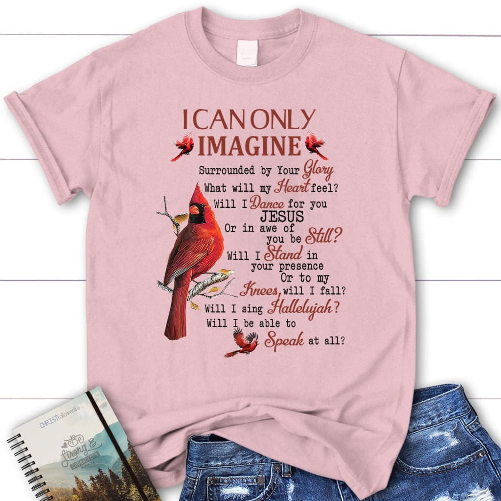 I can only imagine t-shirt, cardinal women's Christian t-shirts