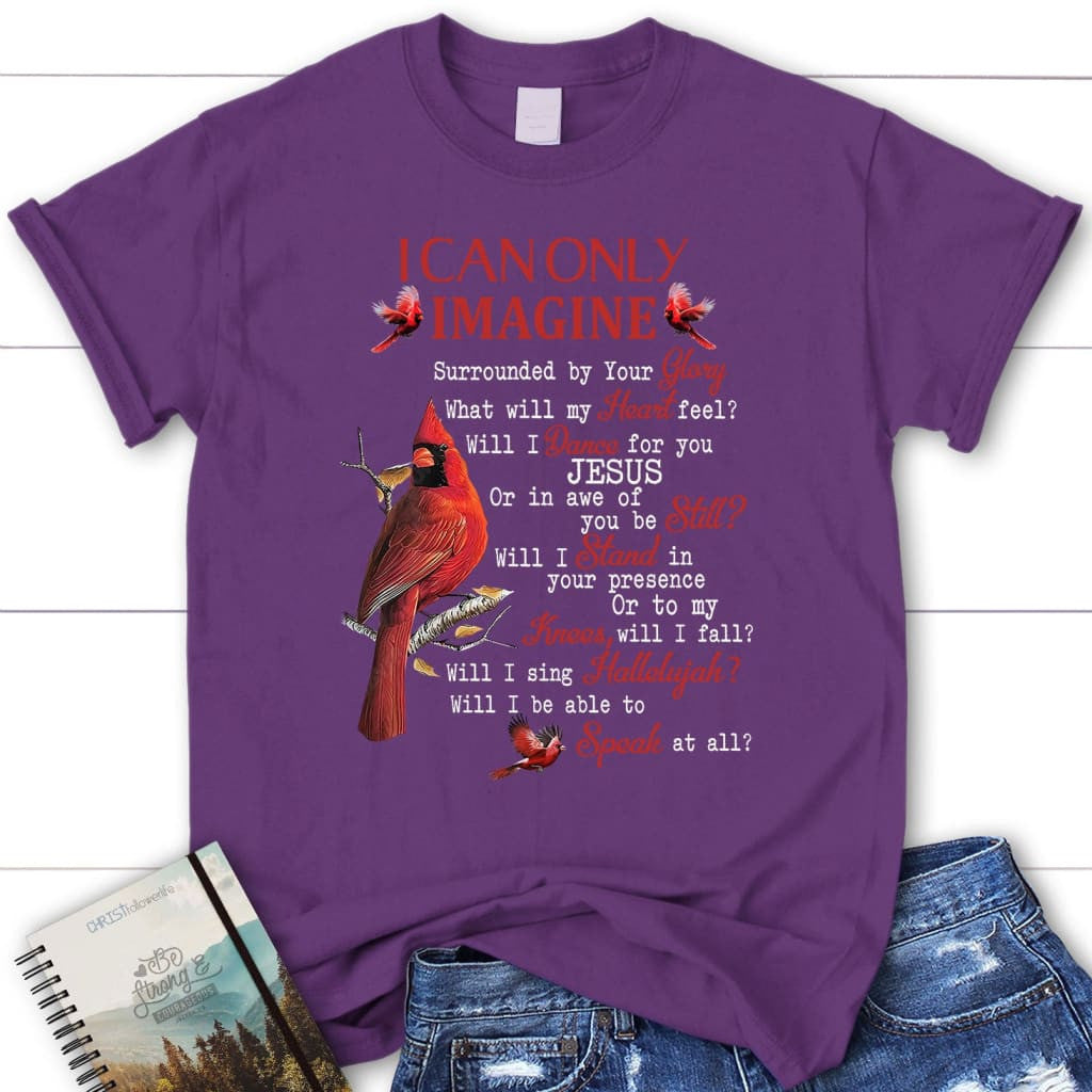 I can only imagine t-shirt, cardinal women's Christian t-shirts