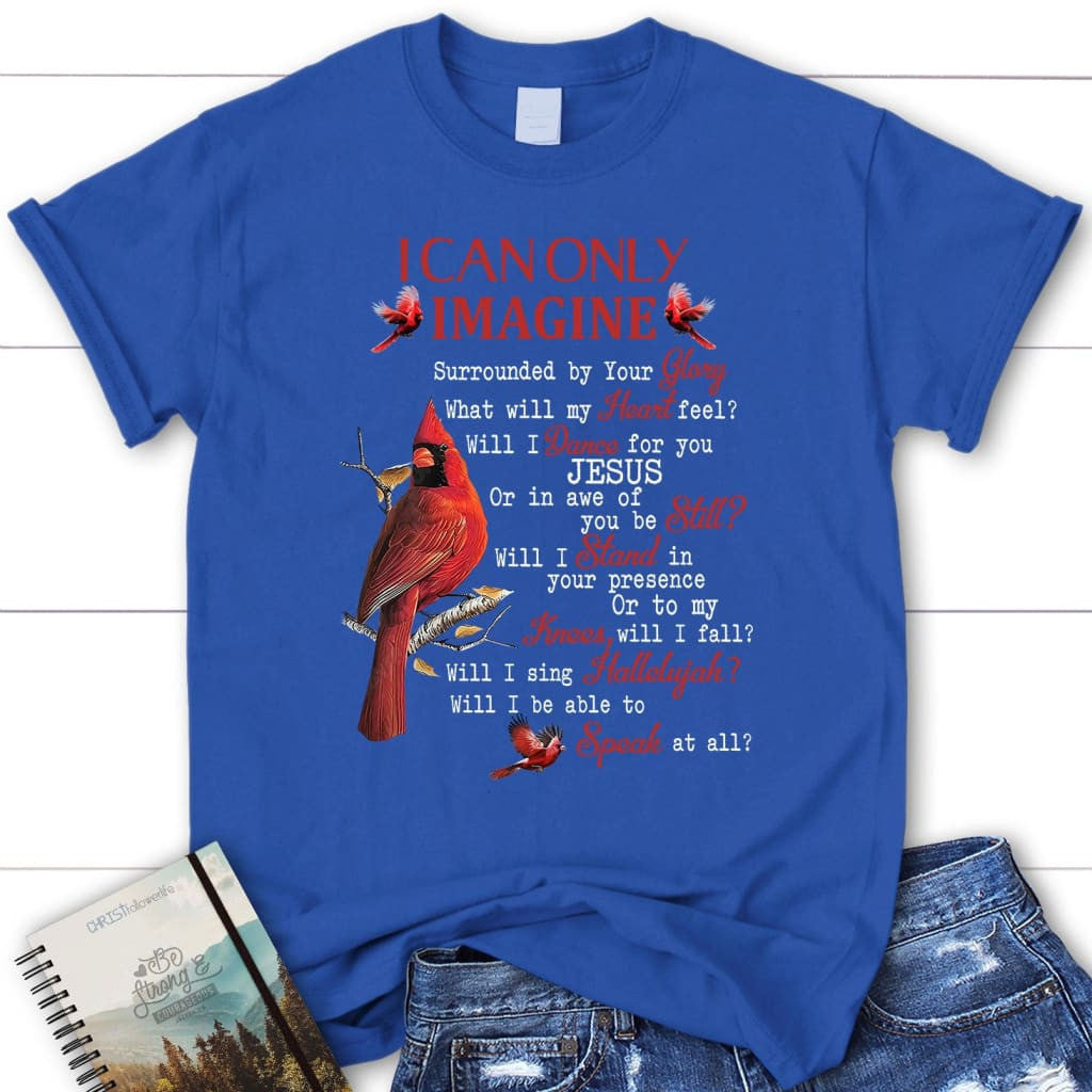 I can only imagine t-shirt, cardinal women's Christian t-shirts