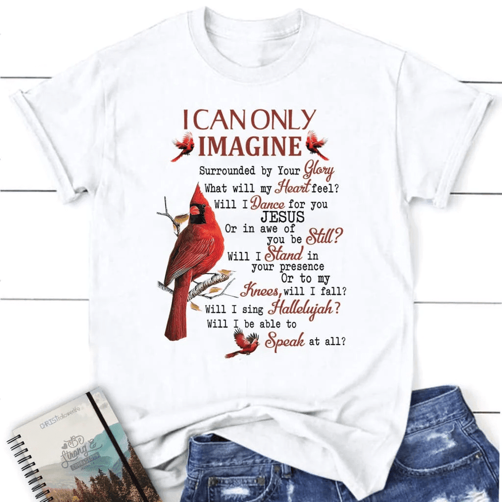 I can only imagine t-shirt, cardinal women's Christian t-shirts