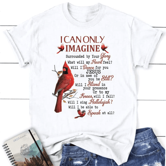 I can only imagine t-shirt, cardinal women's Christian t-shirts