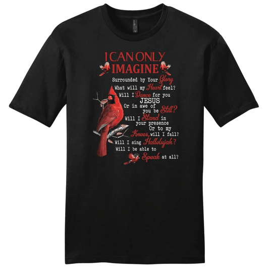 I can only imagine shirt, Cardinal men's Christian t-shirts