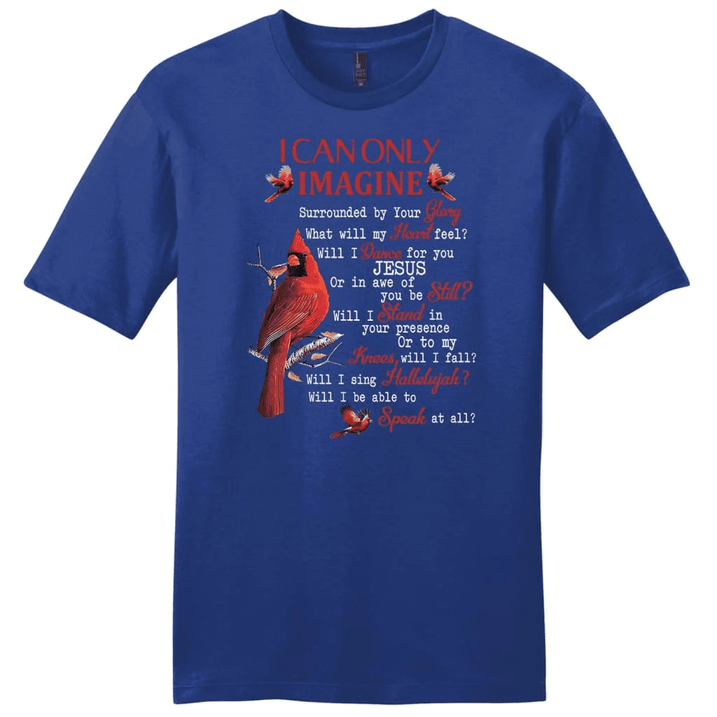 I can only imagine shirt, Cardinal men's Christian t-shirts