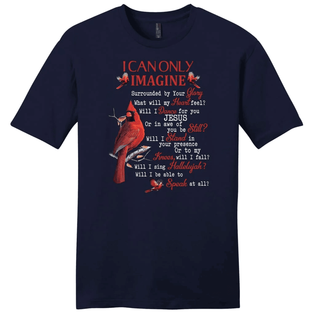 I can only imagine shirt, Cardinal men's Christian t-shirts