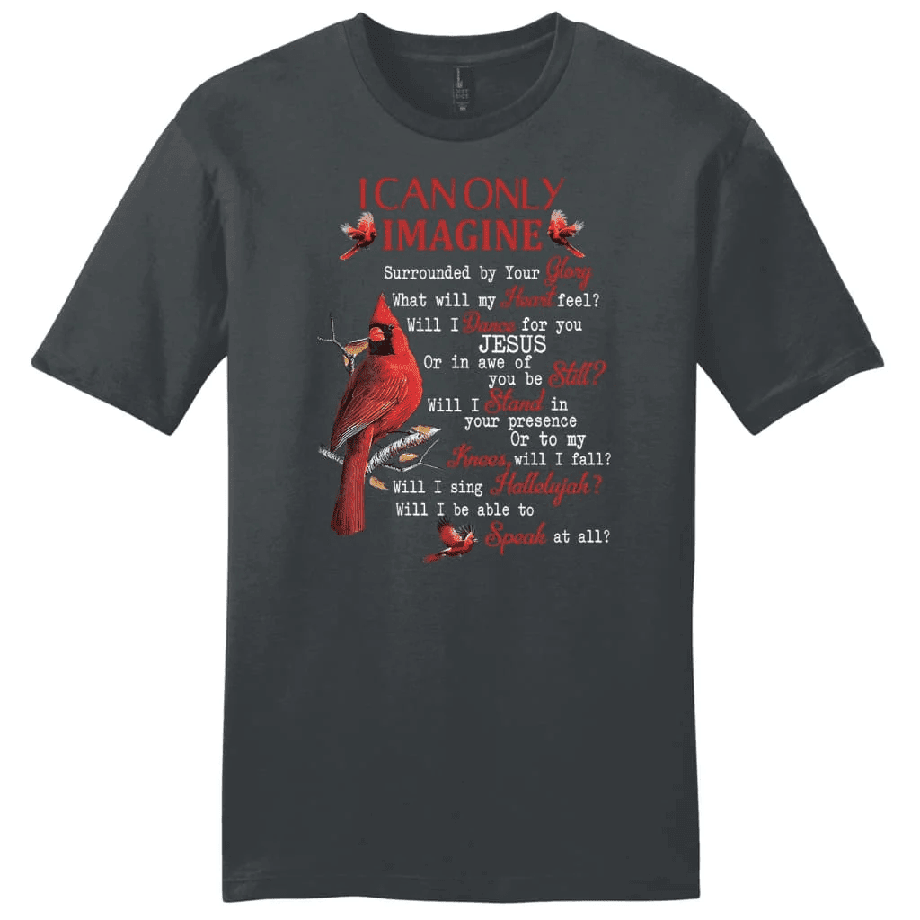 I can only imagine shirt, Cardinal men's Christian t-shirts