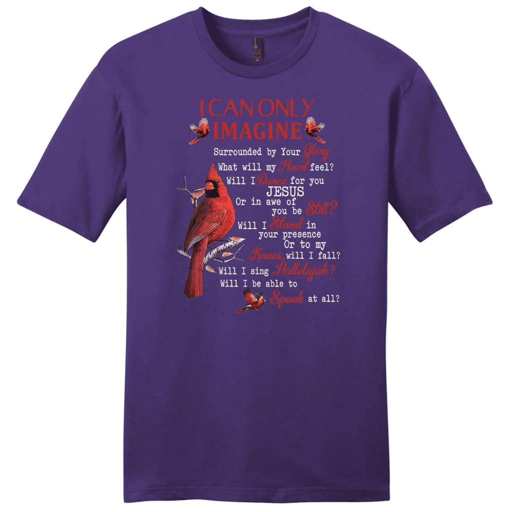 I can only imagine shirt, Cardinal men's Christian t-shirts