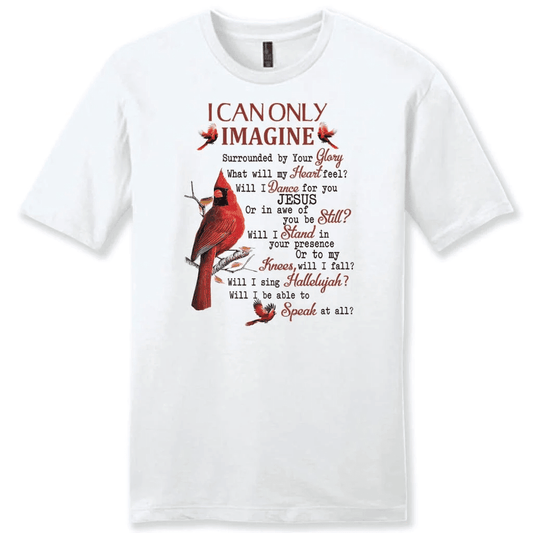 I can only imagine shirt, Cardinal men's Christian t-shirts